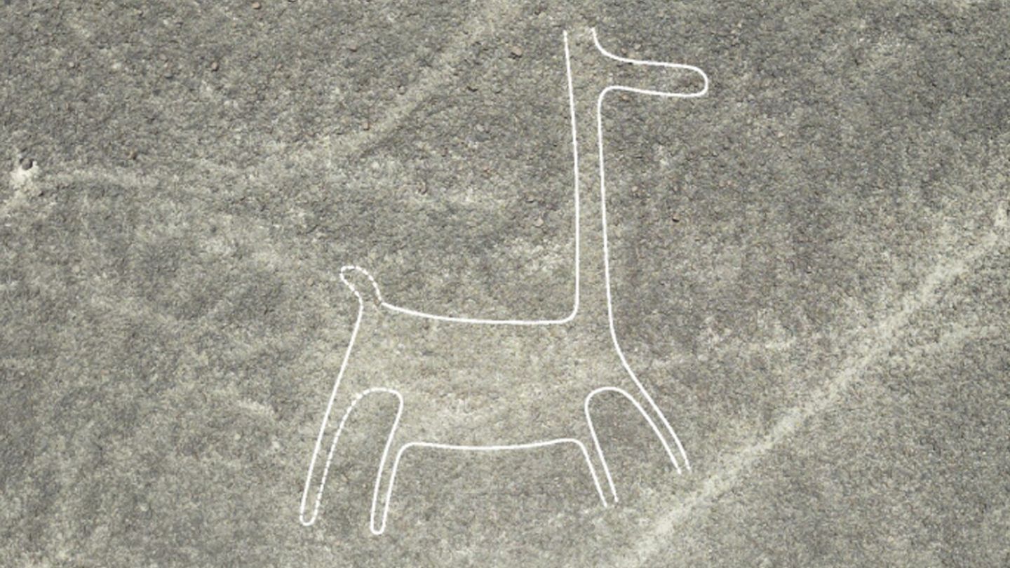 Lama