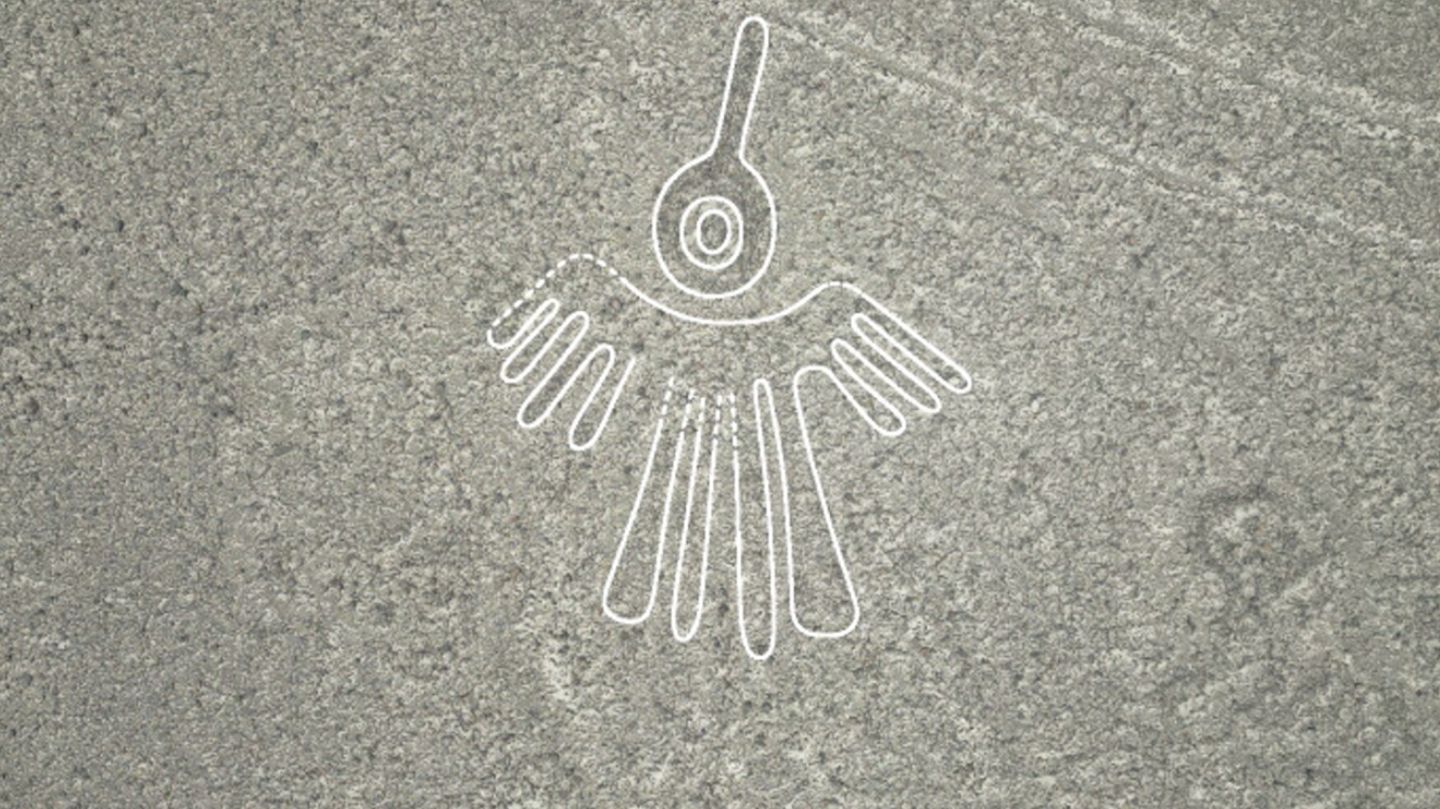 Vogel