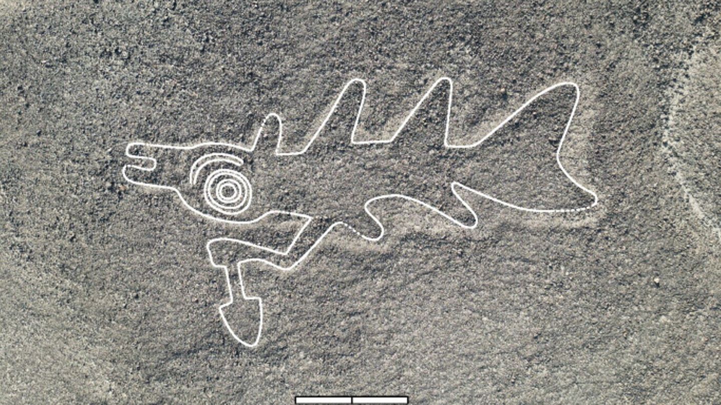 Fisch