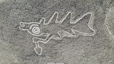 Fisch