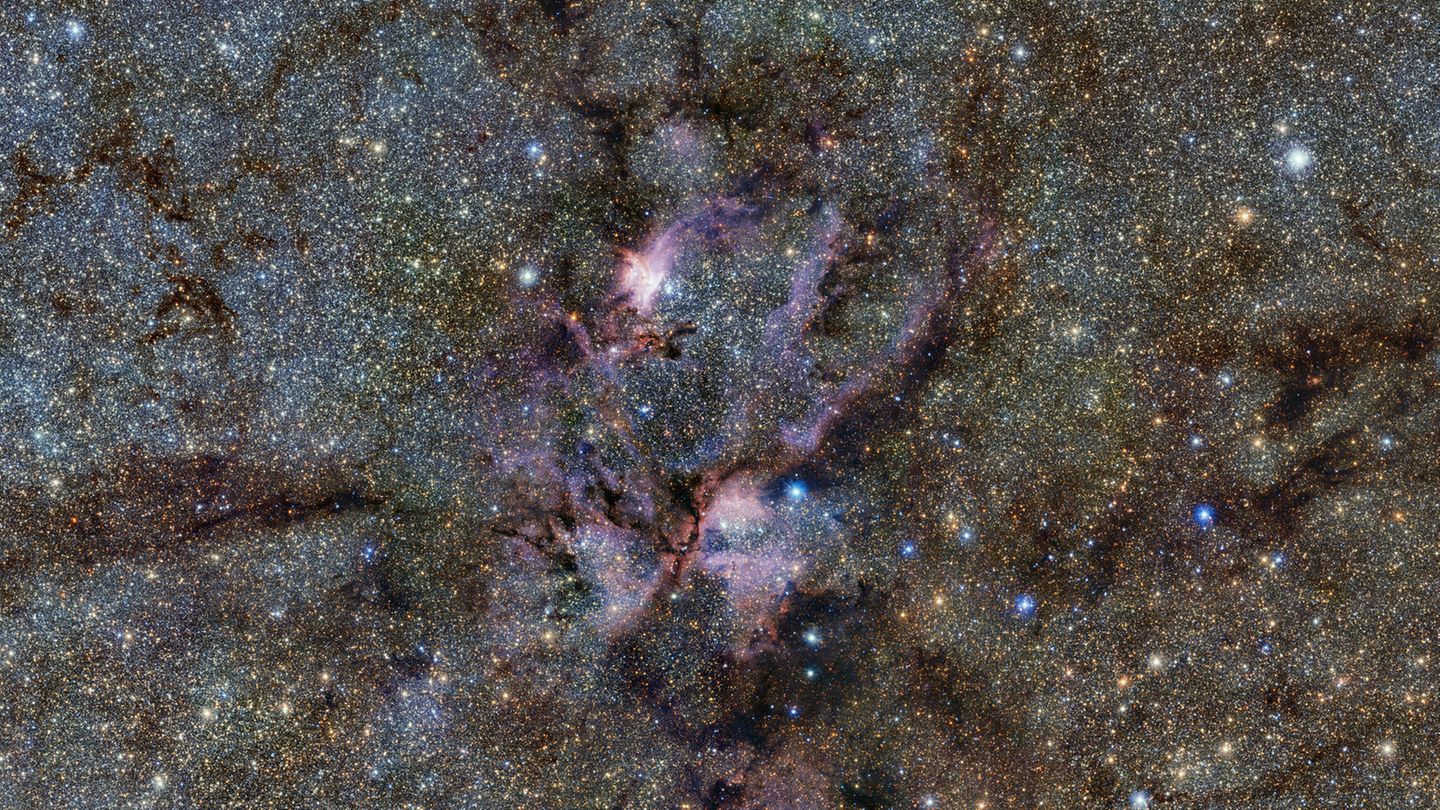 8000 Lichtjahre entfernt von der Erde ist der Emissionsnebel NGC 6357, der in der Milchstraßenkarte der Europäischen Südsternwarte neue Details offenbart