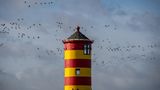 Leuchturm in Greetsiel