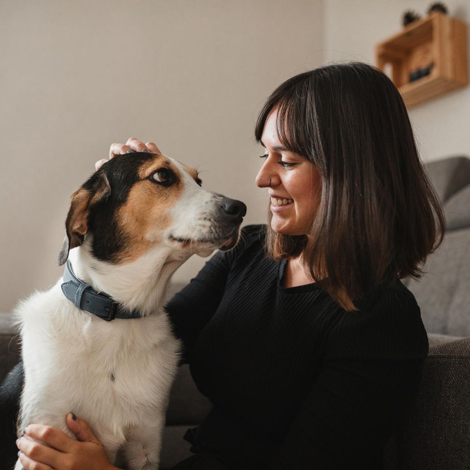 Eine Frau kommuniziert mit ihrem Hund kuschelnd auf dem Sofa