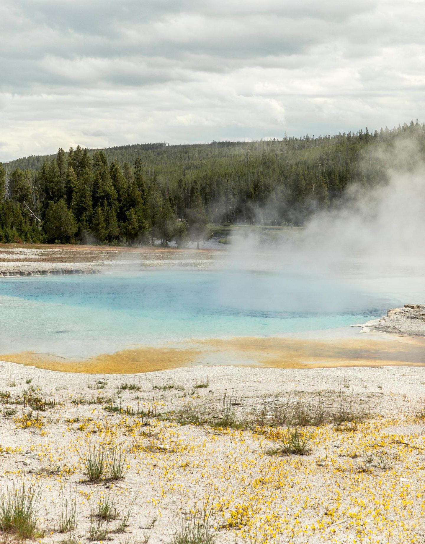 Heiße Quelle dampfend in Idaho, USA