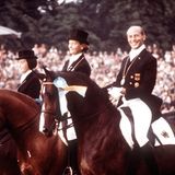 Josef Neckermann auf einem Pferd