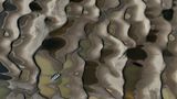 Ausgetrocknetes Flussbett vom Fluss Solimoes