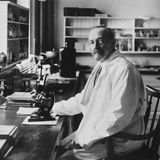 Noch nie wurde ein Nobelpreis zurückgenommen. Der eindeutigste Anwärter dafür wäre Johannes Fibiger: Dessen angebliche Entdeckung erwies sich nachträglich als Irrtum. Der dänische Mediziner beobachtete 1907 bei Ratten ein abnormes Zellwachstum, nachdem er sie mit Fadenwürmern infiziert hatte. Fibiger schlussfolgerte, dass Parasiten die Ursache für Krebs seien, was ihm den Nobelpreis für Medizin des Jahres 1926 einbrachte.   Doch wie spätere Untersuchungen ergaben, hatten die Ratten lediglich gutartige Geschwülste entwickelt, da sie aufgrund des Laborfutters zu wenig Vitamin-A hatten. Das Karolinska-Institut, das den Medizin-Nobelpreis vergibt, arbeitete 2004 die Fehlentscheidung auf. Dennoch bleibt Fibiger offiziell Nobelpreisträger.