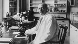 Noch nie wurde ein Nobelpreis zurückgenommen. Der eindeutigste Anwärter dafür wäre Johannes Fibiger: Dessen angebliche Entdeckung erwies sich nachträglich als Irrtum. Der dänische Mediziner beobachtete 1907 bei Ratten ein abnormes Zellwachstum, nachdem er sie mit Fadenwürmern infiziert hatte. Fibiger schlussfolgerte, dass Parasiten die Ursache für Krebs seien, was ihm den Nobelpreis für Medizin des Jahres 1926 einbrachte.   Doch wie spätere Untersuchungen ergaben, hatten die Ratten lediglich gutartige Geschwülste entwickelt, da sie aufgrund des Laborfutters zu wenig Vitamin-A hatten. Das Karolinska-Institut, das den Medizin-Nobelpreis vergibt, arbeitete 2004 die Fehlentscheidung auf. Dennoch bleibt Fibiger offiziell Nobelpreisträger.