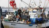 Fehmarn Burg Fischereigenossenschaft Kutter im Hafe