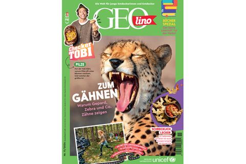 GEOlino: Zum Gähnen