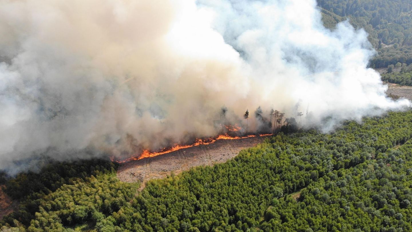 Luftaufnahme zeigt Waldbrand im Sauerland
