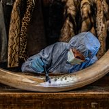 Täglich werden 30 Elefanten wegen ihrer Stoßzähne getötet. Ein neues Verfahren hilft dabei, Fingerabdrücke auf dem porösen Elfenbein sichtbar zu machen – eine wichtige Waffe im Kampf gegen Wilderei und Wildtierhandel. 