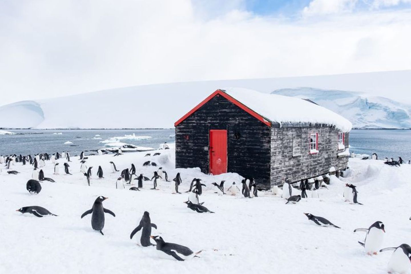 Fünf Monate verringen die Freiwilligen inmitten von Pinguinen. Photo: Jerome Viard/Ukaht/PA Media/dpa