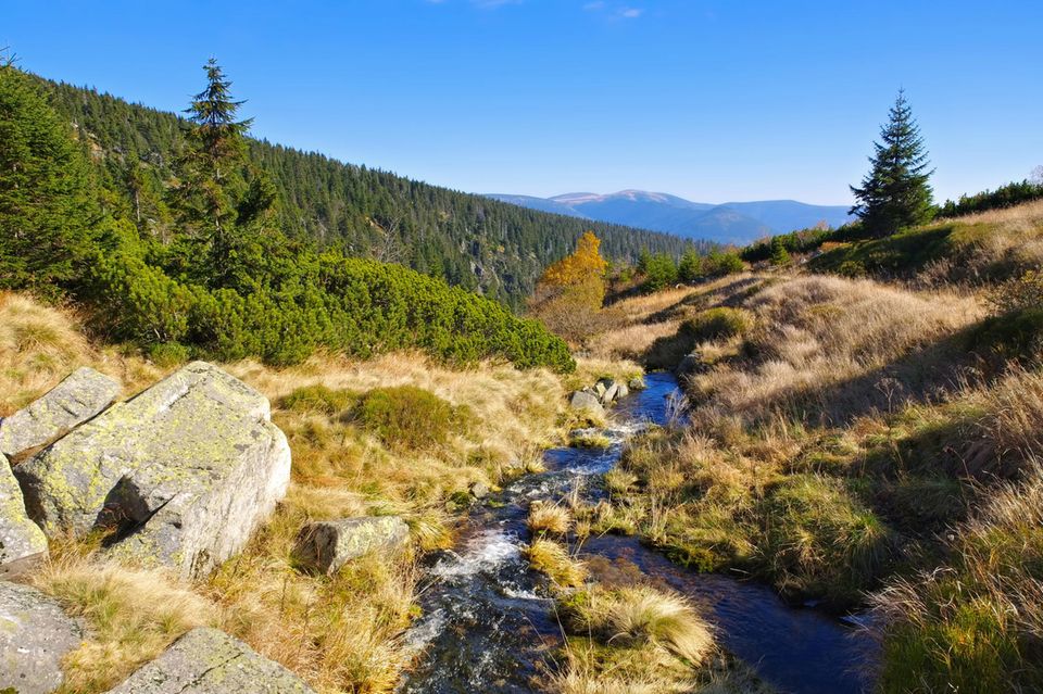 Elbfall im Riesengebirge, Tschechische Republik 1.5037