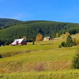 Hügel mit Wald, im Hintergrund alte Häuser