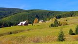 Hügel mit Wald, im Hintergrund alte Häuser