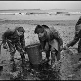 Wehrpflichtige der Armee reinigen die mit Öl verschmutzten Strände nach dem Schiffsunglück der Amoco Cadiz (1978)