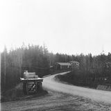 Holzbank mit einer Milchkanne und Paketen an einer von Birken gesäumten Straße