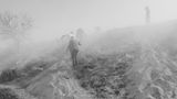 Schwarz-weiß Fotografie: Menschen laufen durch Nebel einen Hügel hinauf