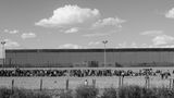 Menschen warten am Grenzübergang von Ciudad Juárez. Jeden Morgen gibt der Grenzschutz 1500 neue Termine an den offiziellen Grenzübergängen aus, buchbar über eine App: Wer so ins Land gelangt, erhält direkt eine Arbeitserlaubnis. Doch auf diesen legalen Weg müssen Antragsteller oft lange warten, in einer der gefährlichsten Städte der Welt, im Einflussbereich der Drogenkartelle.