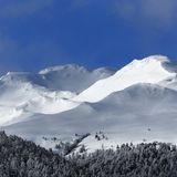 Schneelandschaft mit Bäumen