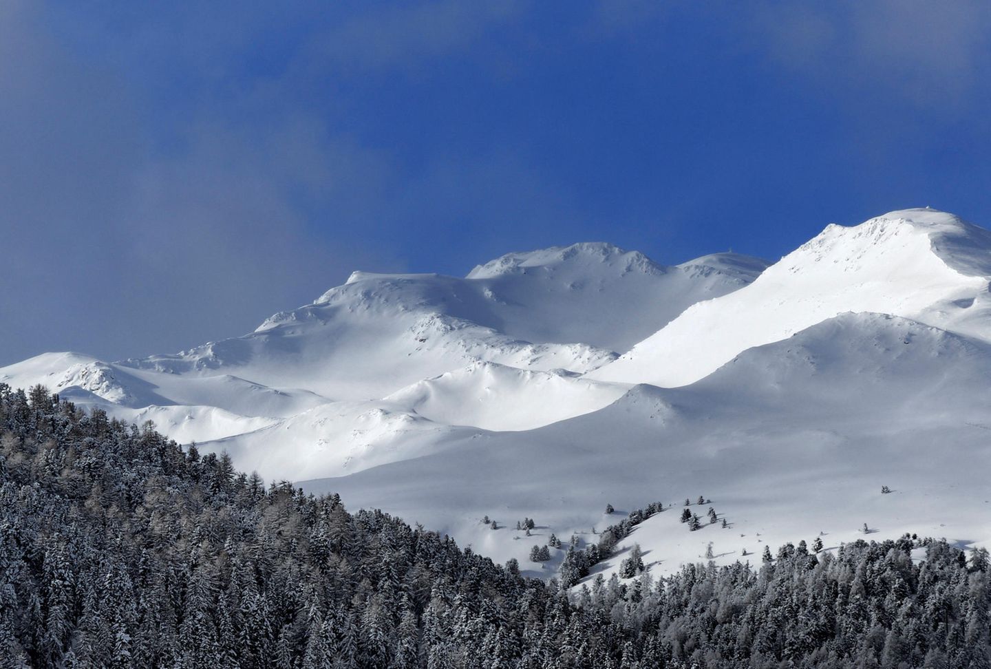 Ins Avingatal ganz im Westen Schneelandschaft mit Bäumen
