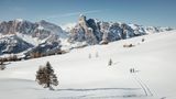 Schneelandschaft mit Schneeschuhwandern