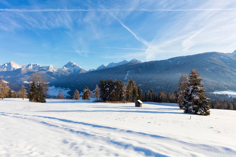 Schneebedeckte Landschaft mit Hütte und Bäumen