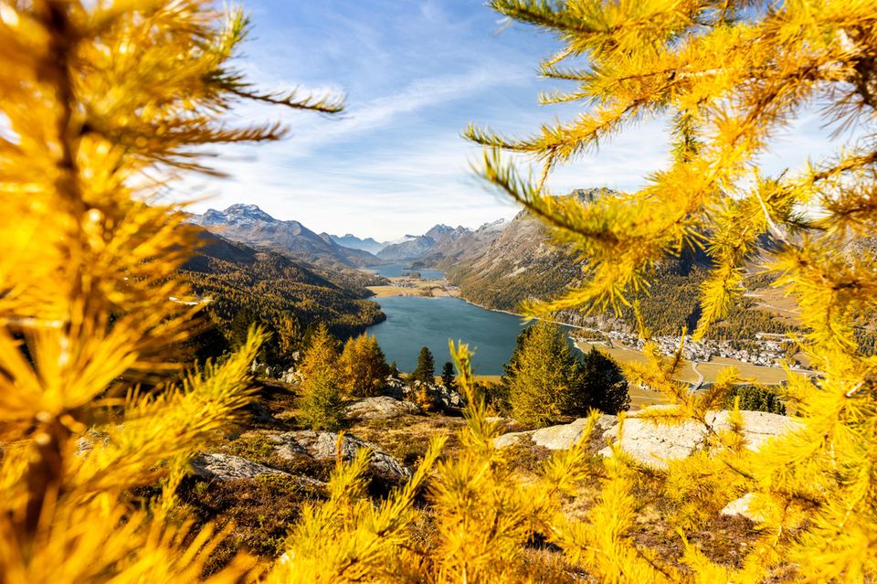 Autumn view of Engadin Valley with its lakes, bernina; engadin; switzerland; graubünden; indian summer; st moritz; sils; silvaplana;