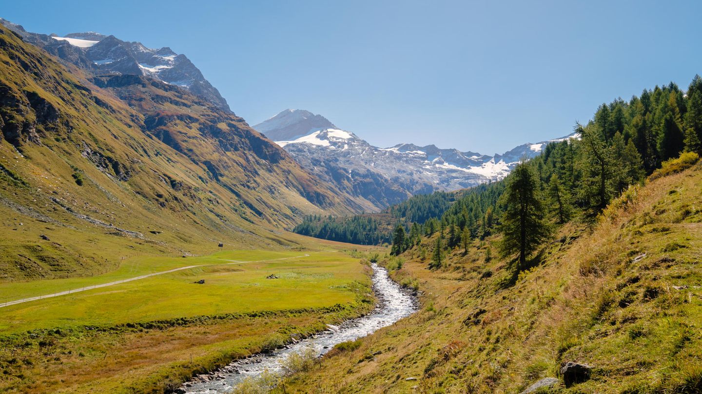 Perfektes Bergtal: das Val Fex Talboden mit Bach und Weiden, dahinter Berge mit Schnee
