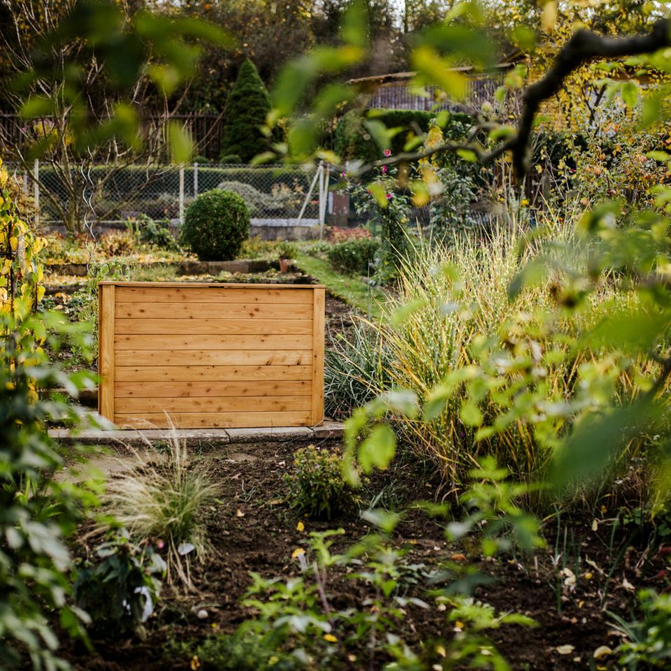 Hochbeet unbepflanzt in einem Kleingarten im Herbst