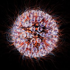 Computer-Illustration eine HI-Virus, 3 D Rendering.