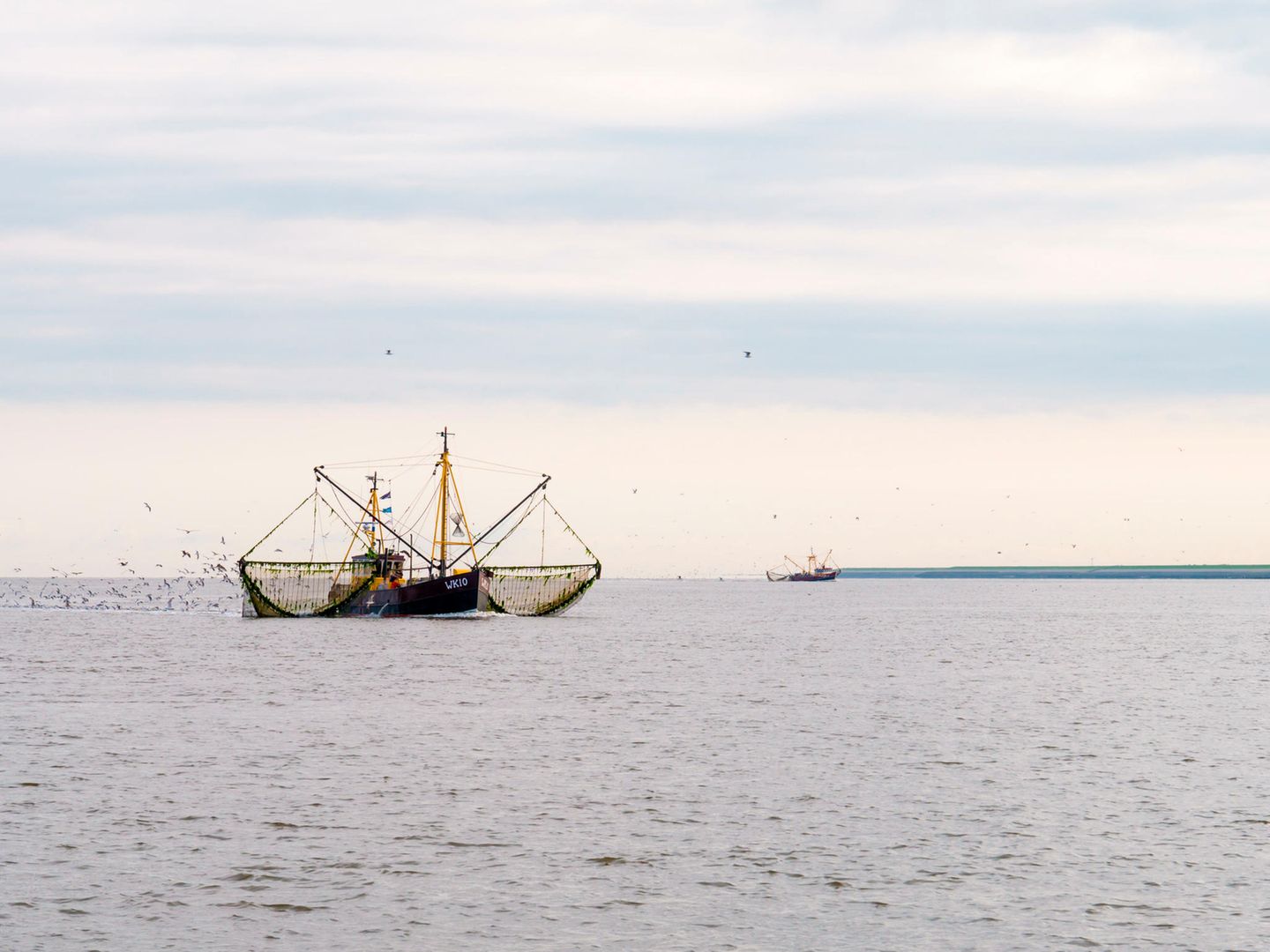 Die EU-Kommission hat den Mitgliedsstaaten vorgeschlagen, die Grundschleppnetzfischerei in Meeresschutzgebieten schrittweise bis 2030 zu verbieten – also auch im norddeutschen Wattenmeer