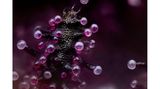 Fotograf Chris Romaine nahm eine Cannabispflanze unter das Objektiv: Sein Bild zeigt Trichome – kleine, haarähnliche Strukturen auf der Pflanzenoberfläche, deren Drüsen Cannabinoide, Terpene und Flavonoide absondern.