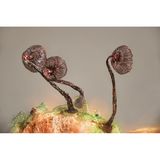 Schleimpilze der Gattung Cribraria (hier: Cribraria cancellata) sind weltweit verbreitet. Ihre meist gestielten Fruchtkörper sind filigrane Gebilde.