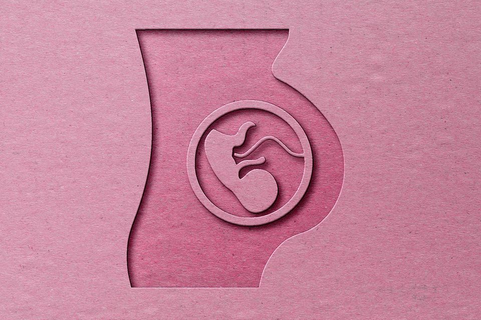 Ein illustrierter Schwangerschaftsbauch in Pink mit einem abstrakten Fötus darin. 1.5004