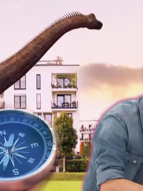 GEOlino TV Staffel:1 Folge: 19