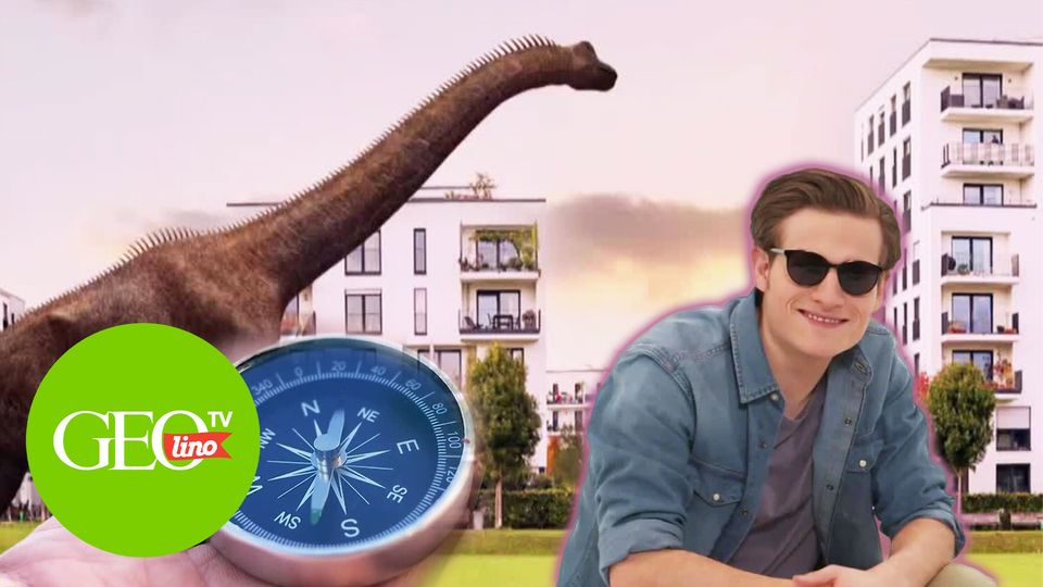 GEOlino TV Staffel:1 Folge: 19