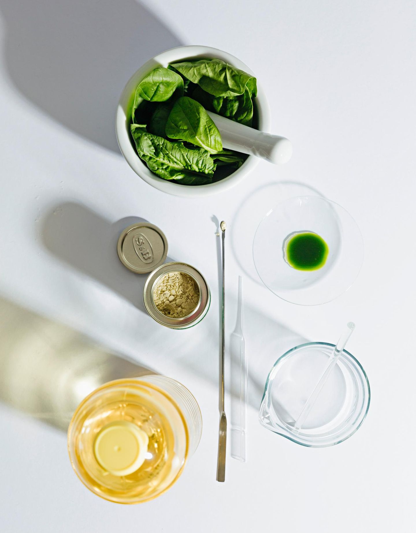 Laborutensilien, Spinat, Wasabi und Olivenöl