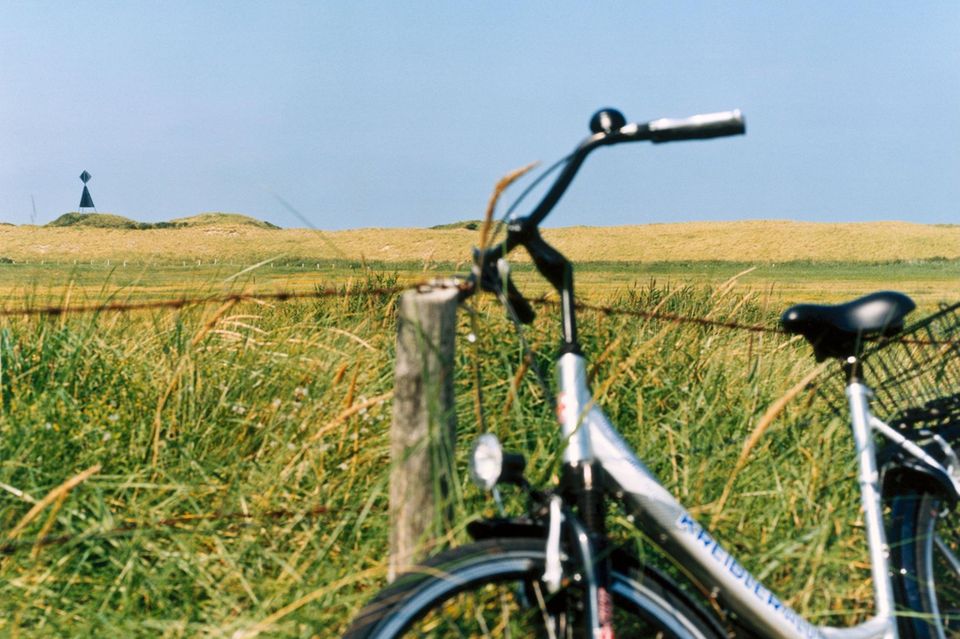 Fahrrad lehnt am Zaun eines Feldes 0.9595
