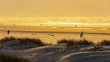Strand, Meer und Dünen mit Spaziergängern