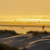 Strand, Meer und Dünen mit Spaziergängern