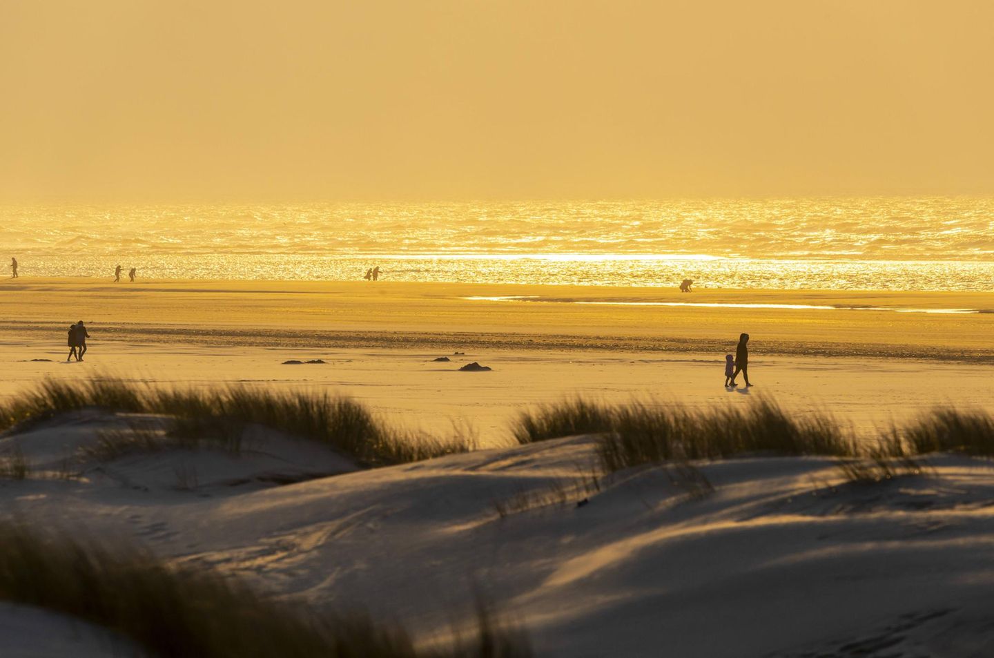 Entschleunigung: Spazieren am Strand Strand, Meer und Dünen mit Spaziergängern