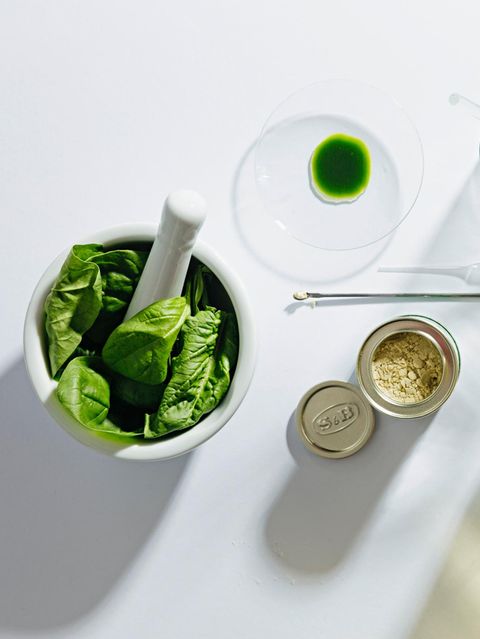 Laborutensilien, Spinat, Wasabi und Olivenöl