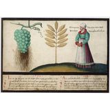 Illustration von Trauben und Ähren