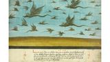 Drachen fliegen am Himmel