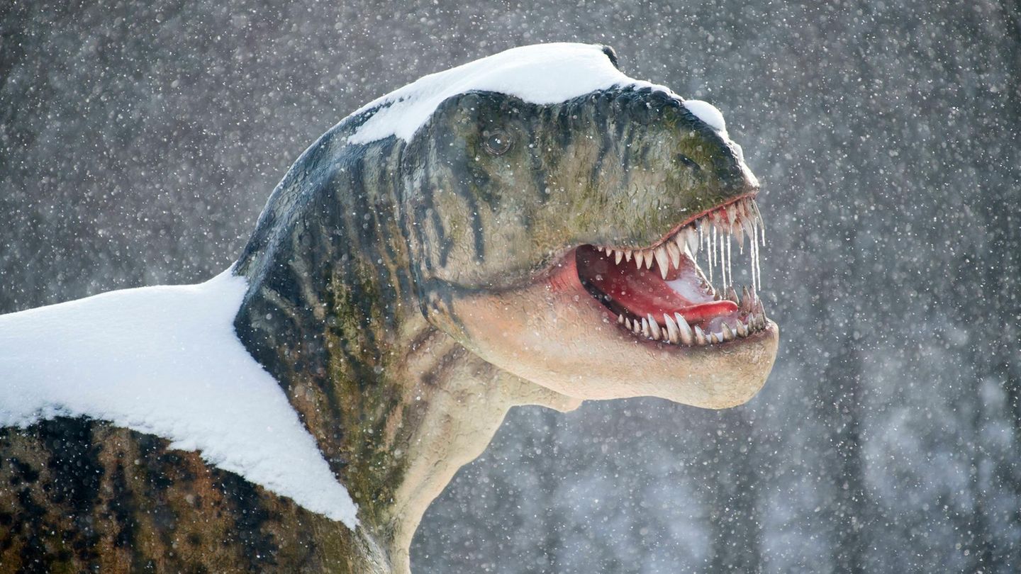 T Rex im Schnee
