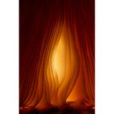 Lamellen eines Pilzes