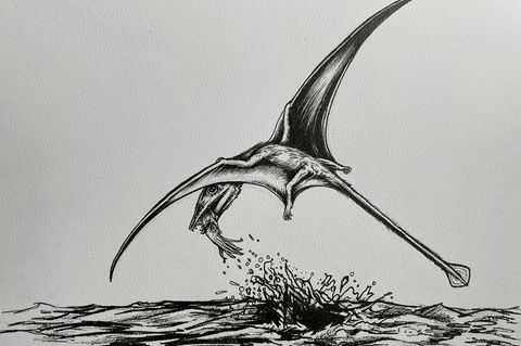 Der Flugsaurier Campylognathoides bei der Jagd mit einem Tintenfisch im Maul