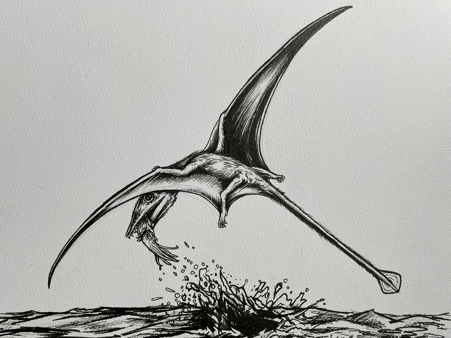 Der Flugsaurier Campylognathoides bei der Jagd mit einem Tintenfisch im Maul